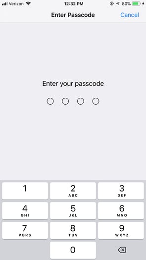 How to Reset Your iPhone Passcode (+Remain Un-hackable)